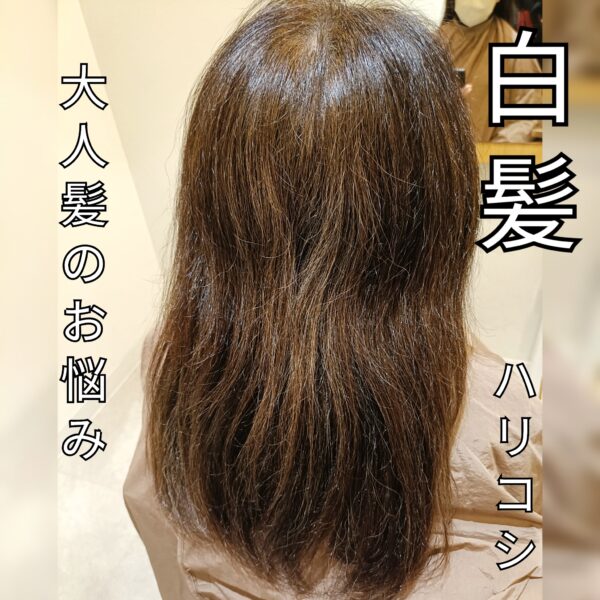 大人髪(大人女性)の髪のお悩み→白髪、ハリコシがない